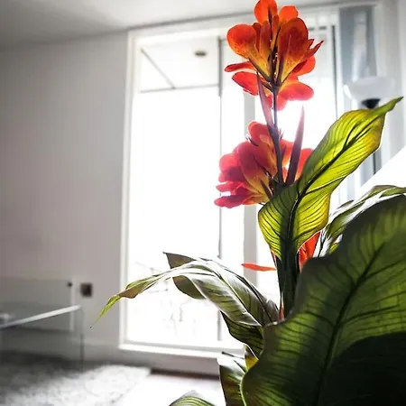 Modern 2 Bedroom Apartment - City Centre - Parking-2